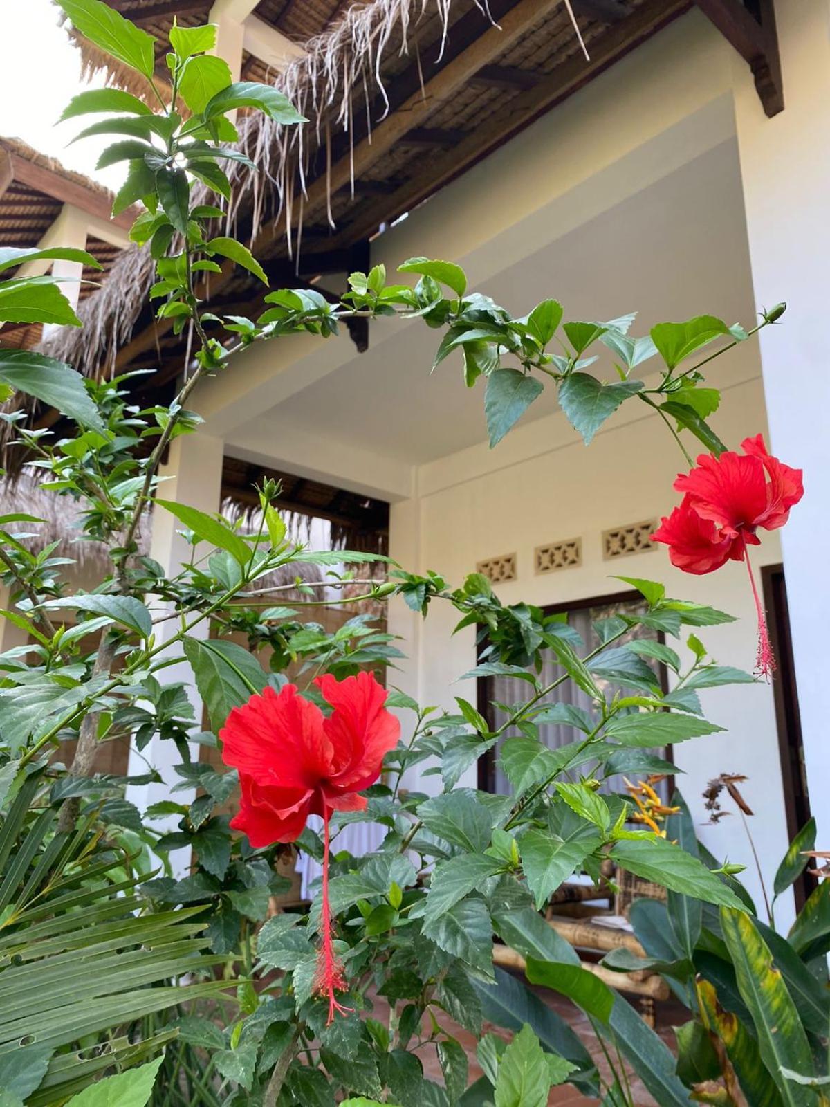 Cewin'S Homestay Kuta  Oda fotoğraf