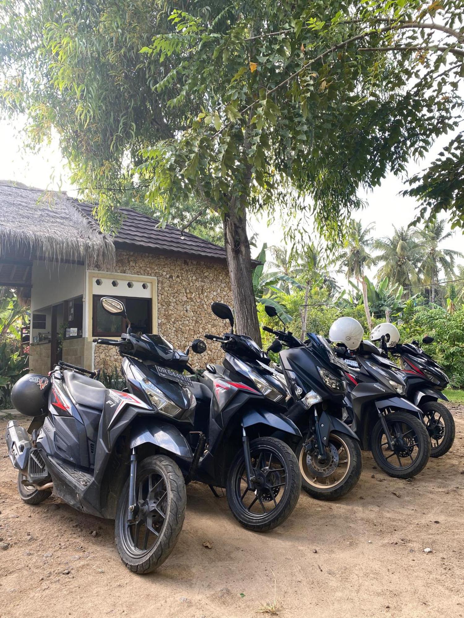 Cewin'S Homestay Kuta  Dış mekan fotoğraf